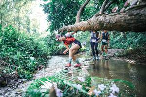 BIB: 
                            <button type="button" onclick="openModal(25446978)" class="btn btn-primary btn-sm float-right btn-popup" data-toggle="modal" data-target=".modal-high-quality">
                        <i class="fas fa-shopping-cart"></i> Add to Cart
                    </button>
                                            <button type="button" onclick="isThisMe(25446978, true)" class="btn btn-success btn-sm float-right btn-popup btn-isme hidden" data-toggle="tooltip" data-placement="bottom" title="นี่คือรูปของคุณใช่ไหม คลิกที่นี่เพื่อเอาเข้าอัลบั้ม">
                        <i class="fas fa-plus"></i> Add to album
                    </button>
                    <button type="button" onclick="isThisMe(25446978, false)" class="btn btn-warning btn-sm float-right btn-popup btn-isnotme hidden">
                        <i class="fas fa-ban"></i> Remove from album
                    </button>